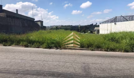 Terreno à venda, 1250 m² por R$ 1.250.000,00 - Rio Abaixo - Itaquaquecetuba/SP