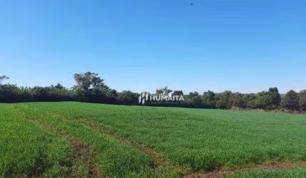 Chácara à venda, 10.000 m² por R$ 890.000 - Fazenda Nata - Londrina/PR