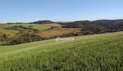 Sitio à venda - Cambé/PR