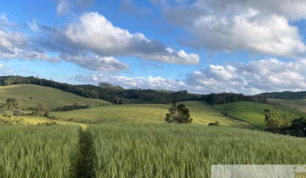 Fazenda à venda na Itapeva, Centro, Itapeva por R$ 10.000.000
