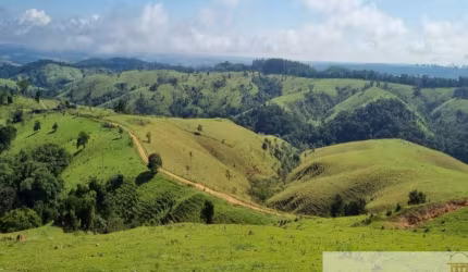 Fazenda à venda na Capão Bonito, Centro, Capão Bonito por R$ 20.000.000