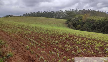 Fazenda à venda na Capão Bonito, Centro, Capão Bonito por R$ 17.150.000