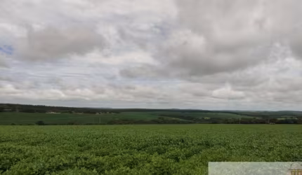 Fazenda à venda na Rua Expedicionários Itapetininganos, Centro, Itapetininga por R$ 42.000.000