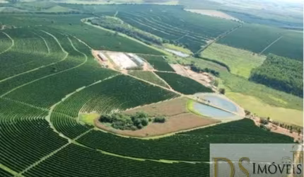 Fazenda à venda na Rua Padre Abel, 1, Centro, Piumhi por R$ 75.000.000