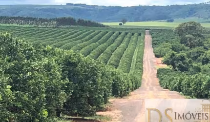 Fazenda à venda na Rua Alagoas, 1, Centro, Marília