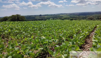 Excelente fazenda a venda em Capão Bonito/SP com área total de 136 alqueires, casa sede e casa de funcionários