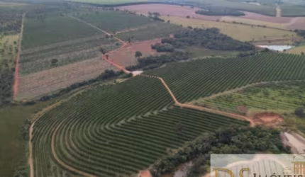 FAZENDA DE LARANJA A VENDA NA REGIÃO DE ITAPETININGA-SP, 170 ALQUEIRES, COM CASA SEDE E CASA DE CASEIRO