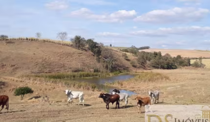 FAZENDA A VENDA EM TIETÊ-SP COM ÁREA TOTAL DE 81,5 ALQUEIRES, BOA TOPOGRAFIA E PRÓXIMA AO ASFALTO