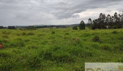 EXCELENTE SÍTIO A VENDA EM ITAPETININGA-SP, COM 16,5 ALQUEIRES, FORMADA EM PASTO, BOA TOPOGRAFIA, SOLO MISTO E CÓRREGO NO FUNDO