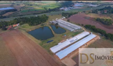 SÍTIO COM GRANJA MODERNA A VENDA EM CESÁRIO LANGE/SP, ÁREA COM 8 ALQUEIRES, 6 BARRACÕES MODERNOS, GRANJAS AUTOMÁTICAS E MAIS