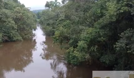 ÁREA PARA COMPENSAÇÃO AMBIENTAL OU CRÉDITO DE CARBONO A VENDA NO ESTADO DE SÃO PAULO, COM 1250 ALQUEIRES