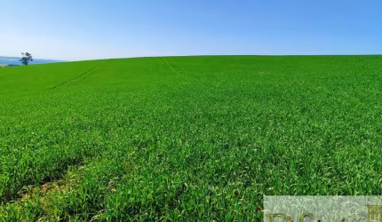 FAZENDA A VENDA EM CAPÃO BONITO/SP, 136 ALQUEIRES NO TOTAL, TERRA MISTA A VERMELHA, AÇUDE, NASCENTES E CACHOEIRA. COM BENFEITORIAS E ÓTIMA LOCALIZAÇÃO