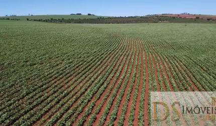 EXCELENTE FAZENDA A VENDA EM ITAÍ-SP, ÁREA TOTAL DE 50 ALQUEIRES,  TERRA VERMELHA, TOPOGRAFIA PLANA A SEMI PLANA, CASA SEDE E BARRACÃO