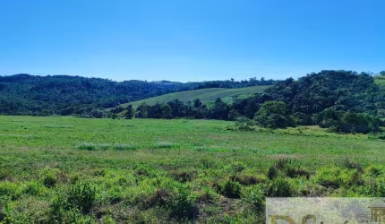 FAZENDA A VENDA NA REGIÃO DE ITAPETININGA-SP, FORMADA EM LAVOURA E PASTO, ÁREA TOTAL DE 50 ALQUEIRES, TOPOGRAFIA ONDULADA E DECLIVE SENTIDO ÁGUA