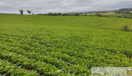 EXCELENTE SÍTIO A VENDA NA REGIÃO DE SOROCABA-SP, COM ÁREA TOTAL 20 ALQUEIRES, TERRA MISTA E TOPOGRAGIA LEVEMENTE ONDULADA