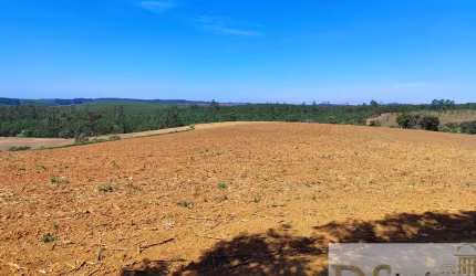SÍTIO COM GRANJA A VENDA NA REGIÃO DE ITAPETININGA-SP, COM 30 ALQUEIRES DE ÁREA TOTAL, GRANJA, LAVOURA, ESTUFAS, PASTO E MAIS BENFEITORIAS