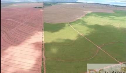 EXCELENTE FAZENDA COM CANA AS MARGENS DO RIO PARANÁ NO ESTADO DE SÃO PAULO, COM 697,7 ALQUEIRES DE ÁREA TOTAL E BENFEITORIAS