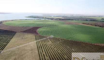 FAZENDA DE LARANJA A VENDA NA REGIÃO DE VOTUPORANGA-SP, COM ÁREA TOTAL DE 65,42 ALQUEIRES, TOPOGRAFIA PLANA, RICA EM ÁGUA E COM BENFEITORIAS