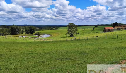 Oportunidade única! Fazenda de 39 alqueires em Itapetininga-SP com estrutura completa para agricultura e pecuária.