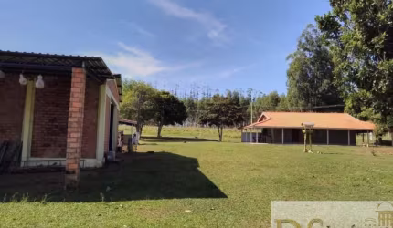 FAZENDA À VENDA EM PARANAPANEMA/SP COM 47 ALQUEIRES DE ÁREA. TERRA MISTA, BOA TOPOGRAFIA E BENFEITORIAS. EXCELENTE LOGÍSTICA.