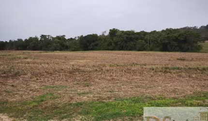 FAZENDA À VENDA EM ANGATUBA/SP COM 13,60 ALQUEIRES DE TERRA MISTA, RICA EM ÁGUA E BOA TOPOGRAFIA.