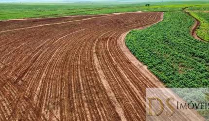 FAZENDA DE 223 ALQUEIRES EM PRESIDENTE EPITÁCIO-SP: OPORTUNIDADE DE INVESTIMENTO ÚNICA!