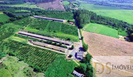 SÍTIO COM GRANJA A VENDA NA REGIÃO DE SOROCABA/SP: 15,80 ALQUEIRES DE ÁREA COM AVIÁRIOS E ÓTIMA LOGÍSTICA