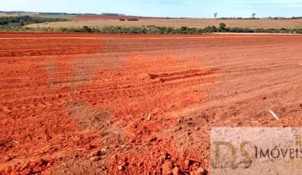 EXCELENTE FAZENDA EM CANA À VENDA EM PRESIDENTE PRUDENTE/SP: 1.275 ALQUEIRES DE OPORTUNIDADE