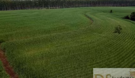 FAZENDA DE 80 ALQUEIRES EM TATUÍ/SP: ÁREA EM CANA, BENFEITORIAS COMPLETAS E DOCUMENTAÇÃO 100% EM ORDEM!