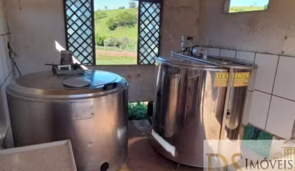 Sítio com leiteira à venda em Itapetininga/SP: 31 alqueires, estrutura completa, produção diária de 600 litros de leite. Confira!