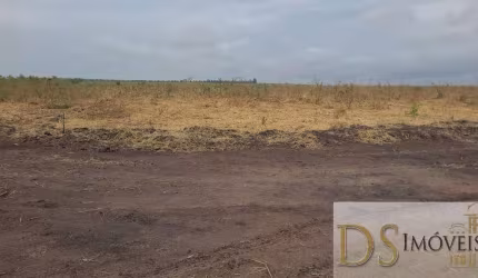 Fazenda com eucalipto à venda em Brasilândia/MG: 14.600 hectares de oportunidades!