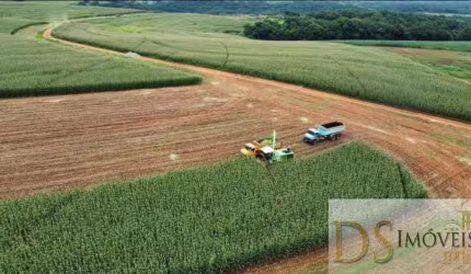 Fazenda Leiteira e Laticínio de 244,5 Alqueires à Venda na região de Itapetininga/SP - Excelente Oportunidade!