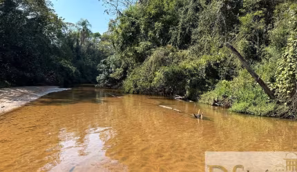 FAZENDA DE 80 ALQUEIRES À VENDA EM BOFETE/SP: SOLO TRATORÁVEL E POTENCIAL PARA LARANJA
