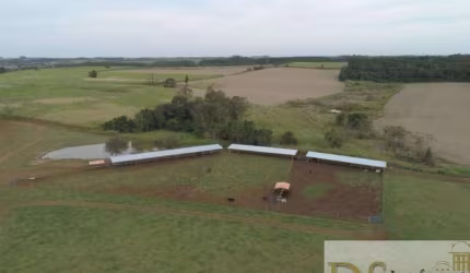 FAZENDA COM 58,5 ALQUEIRES EM PEREIRAS/SP: Casa Histórica, Galpão de 500m², Estrutura Completa e Potencial de Negócio por R$16.500.000,00.