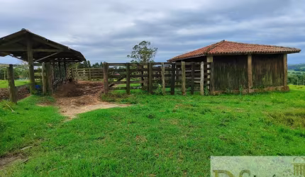 Sítio à Venda em Itapetininga-SP: 10,34 Alqueires de Pura Qualidade!