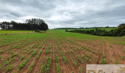 Fazenda à venda na Travessa Carlos Ayres, 55, Centro, Itapetininga por R$ 15.500.000