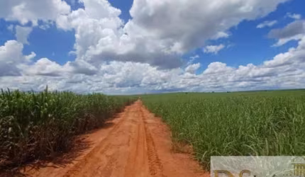 Fazenda de 403 alqueires em Pacaembu-SP: oportunidade única na região de Adamantina. Invista já!