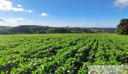 IMPERDÍVEL: SÍTIO DE 21 ALQUEIRES EM SÃO MIGUEL ARCANJO/SP por R$1.100.000,00!