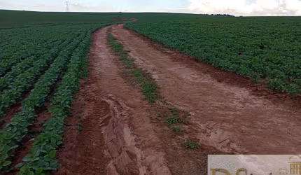 Fazenda de 99 Alqueires à Venda - Sorocaba/SPCom Solo Vermelho, Margem de Rio e BenfeitoriasExcelente Logística e Documentação em Ordem!