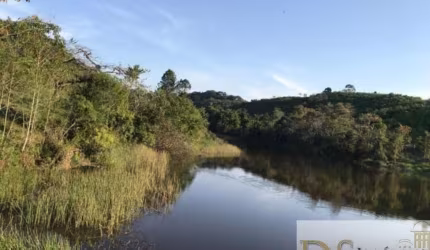 FAZENDA DE 90 ALQUEIRES À VENDA EM IGUAPE/SP - POTENCIAL PARA PECUÁRIA E CULTIVO - LOGÍSTICA PRIVILEGIADA
