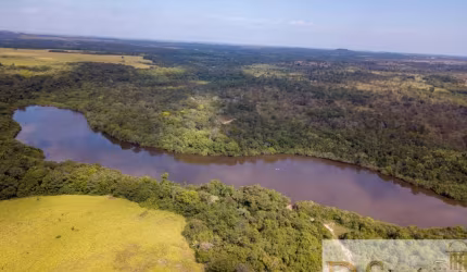 FAZENDÃO À VENDA EM GOIATINS-TO: 7.800 ALQUEIRES DE OPORTUNIDADE!