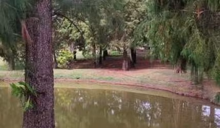 FAZENDA DE ALTO PADRÃO À VENDA - 67 alqueires em Sorocaba-SP. Investimento de Qualidade para Agricultura e Pecuária!