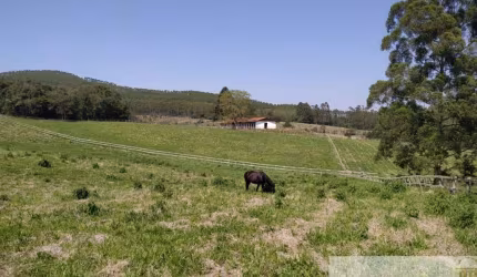 Chácara / sítio com 3 quartos à venda na Vila Elvio, Vila Élvio, Piedade por R$ 5.000.000