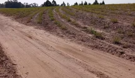 Fazenda à venda na Rua P, 124, Parque das Nações, Santa Bárbara D'Oeste por R$ 11.160.000