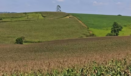 Fazenda à venda na Rua Cassiano Vieira, 12, Centro, São Miguel Arcanjo por R$ 7.500.000
