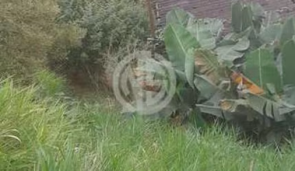 Terreno em Jardim Santo Antônio, São Paulo/SP