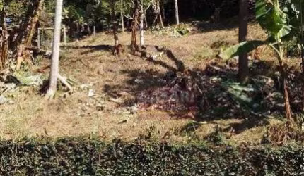Terreno Residencial à venda,