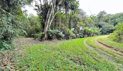 Sítio na Estrada Dedo Grosso  - Vila Nova em Joinville