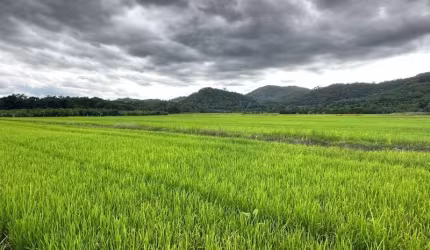 Oportunidade única: Fazenda à venda em Joinville-SC, bairro Vila Nova, com 352.500,00 m² de área!