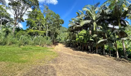 Sítio de 185.568 m² à venda na Estrada Motucas, Vila Nova, Joinville/SC